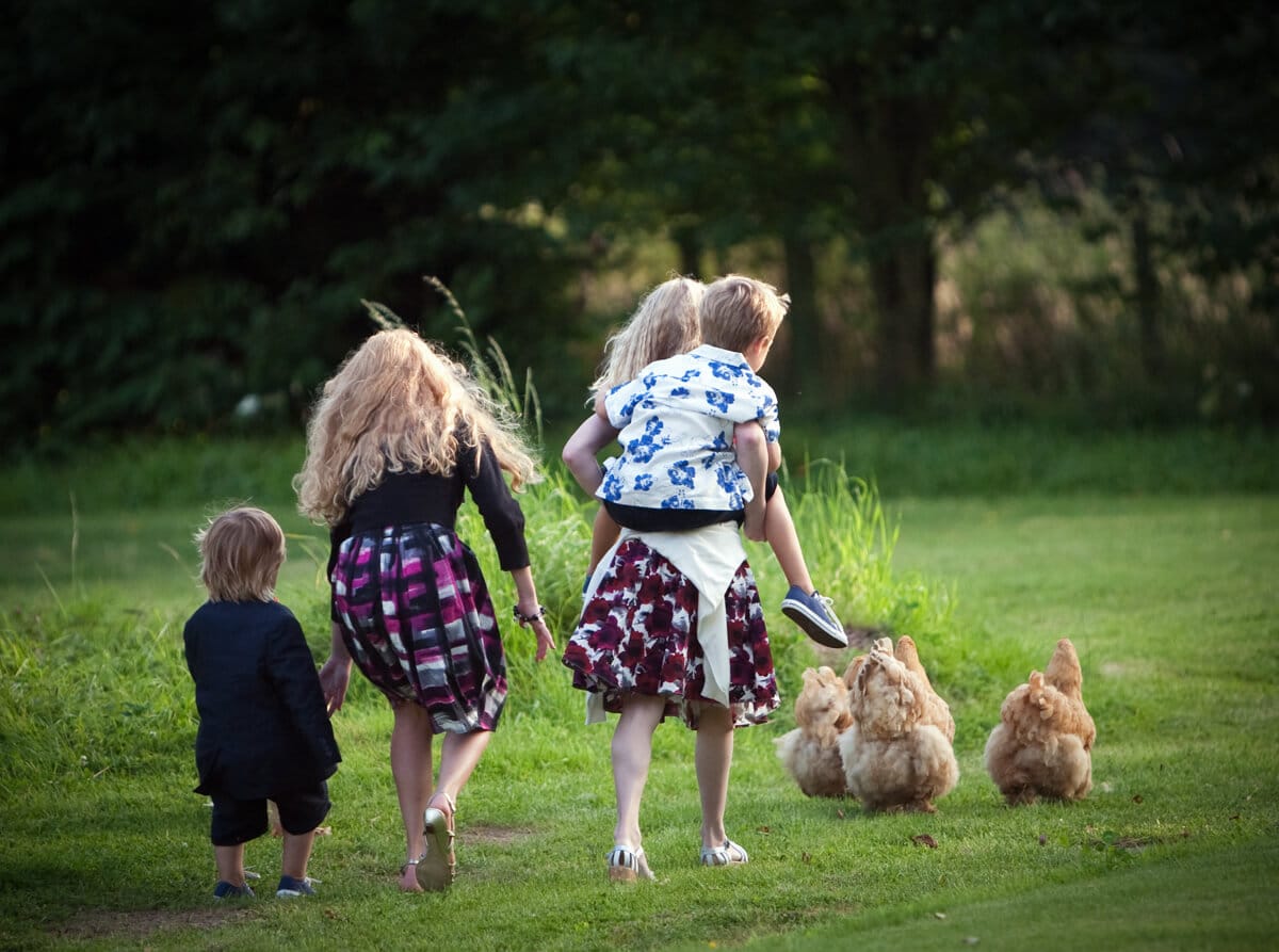 Kids playing with free range chickens at rural wedding