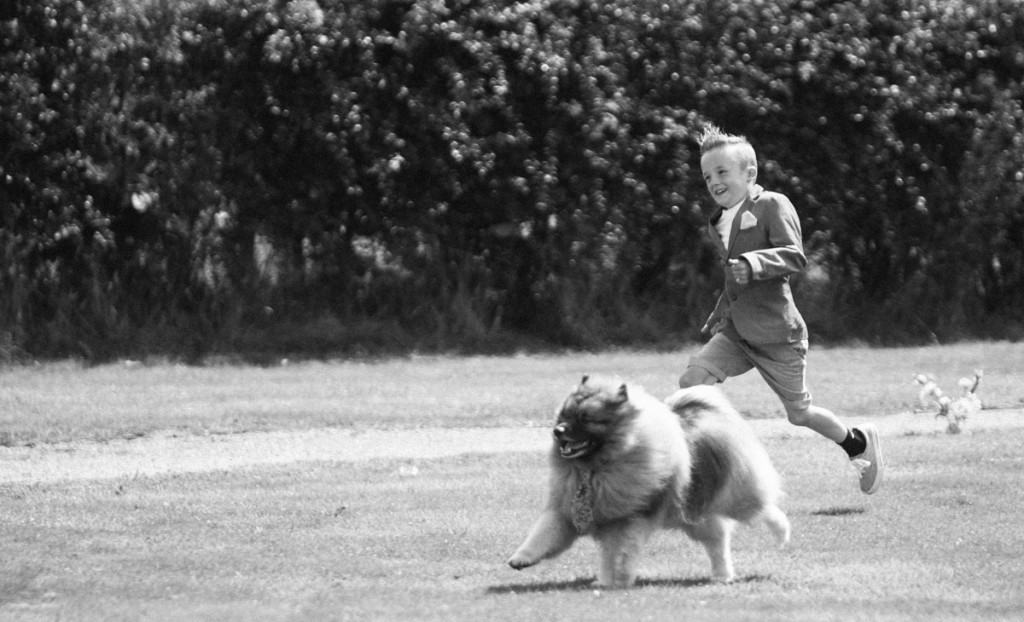 Boy running with dog at wedding in Shropshire