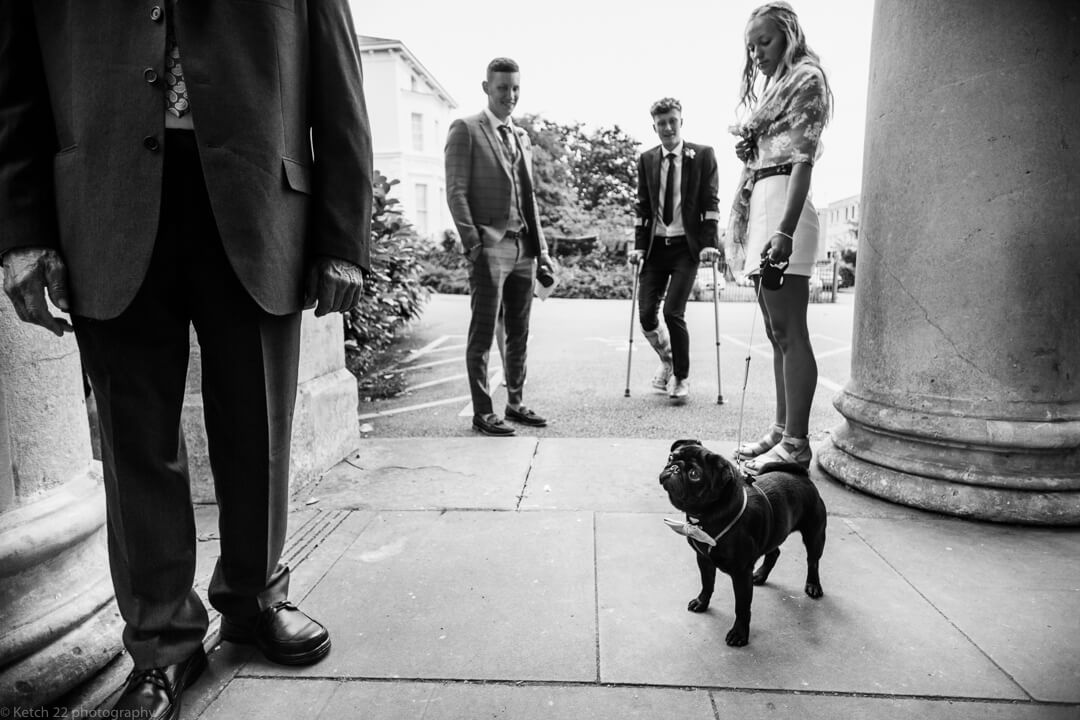 Black dog with bow tie at wedding