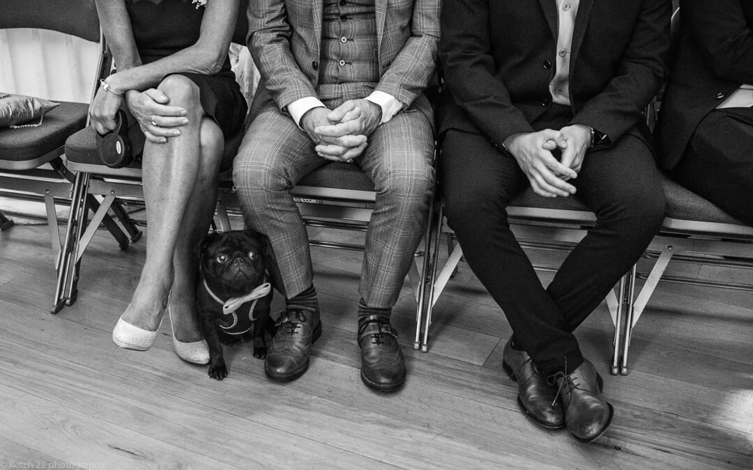 Black dog with bow tie at cheltenham wedding