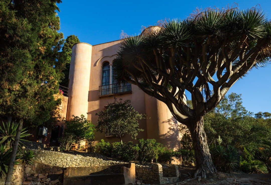 Moorish architecture and tree at Castillo de Santa Catalina wedding venue