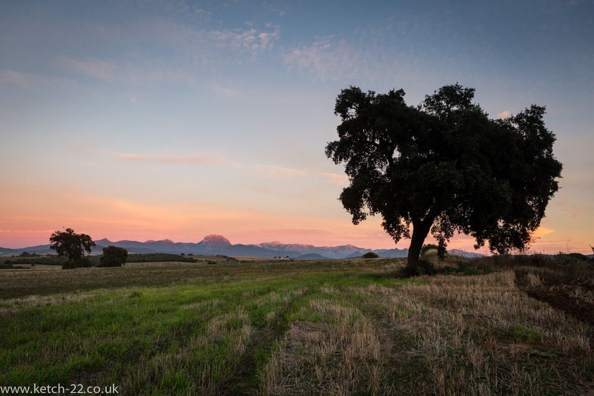 Sunset view over green fields and tree with mountains of Grazalema national Park in the back ground